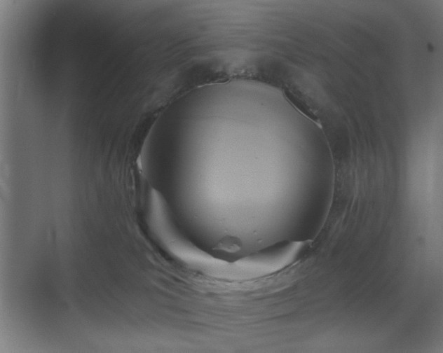 X0000070820039200606191234