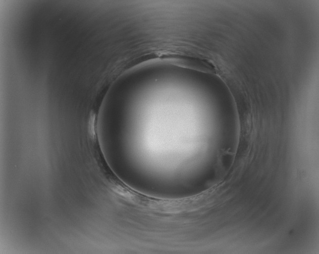 X0000070820041200606191234