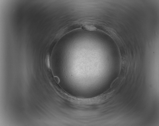 X0000070820046200606191234