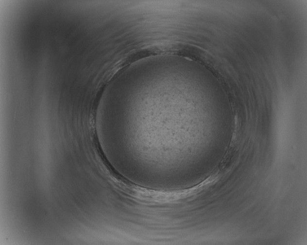 X0000070820048200606191234