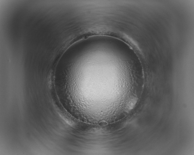 X0000070820065200606191233
