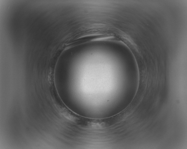 X0000070820073200606191233