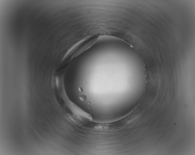 X0000070820080200606191233