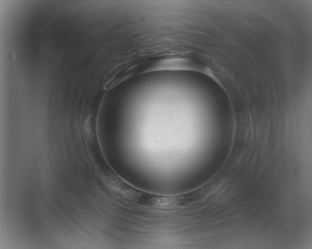 X0000070820088200606191233