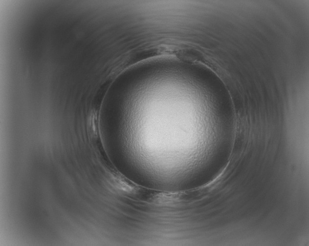 X0000070820094200606191233