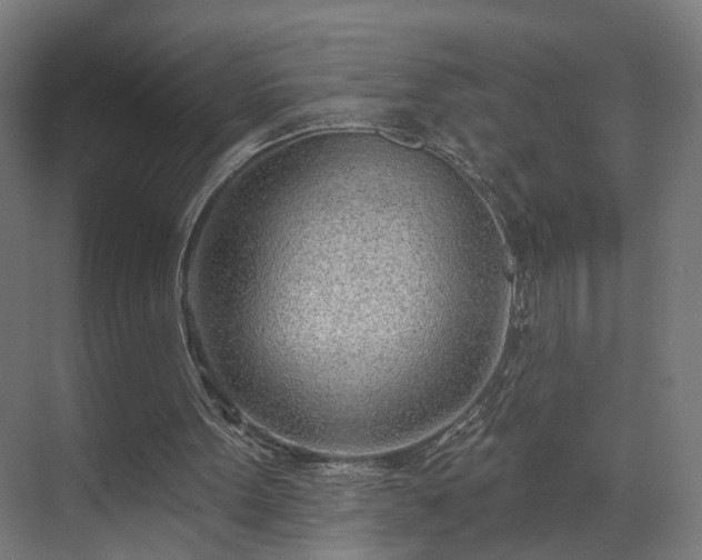 X0000070820099200606191233