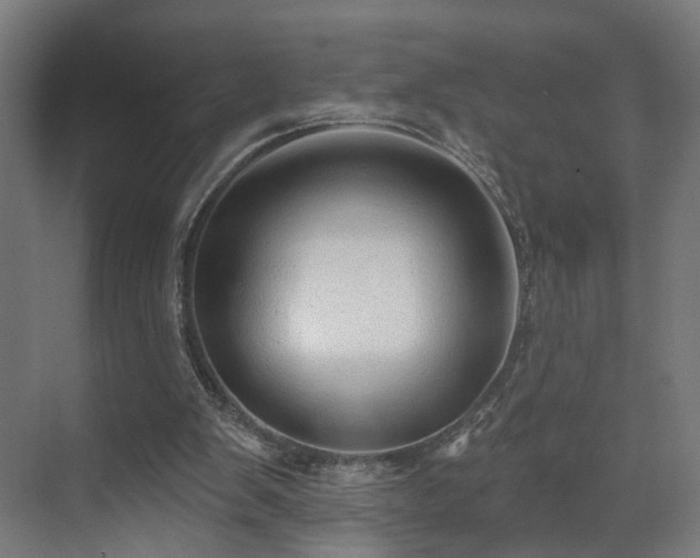 X0000070820103200606191233