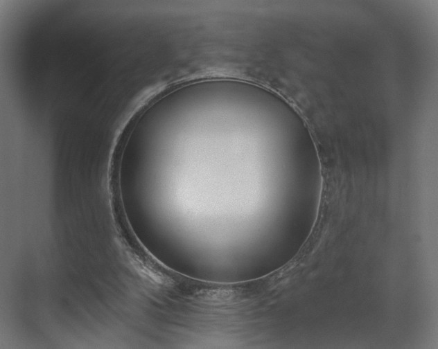 X0000070820104200606191233
