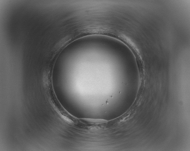 X0000070820105200606191233