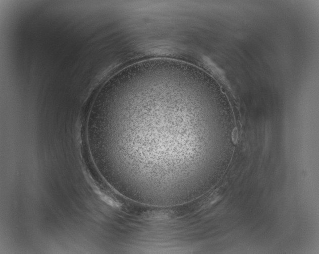 X0000070820106200606191233