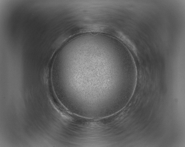 X0000070820107200606191233