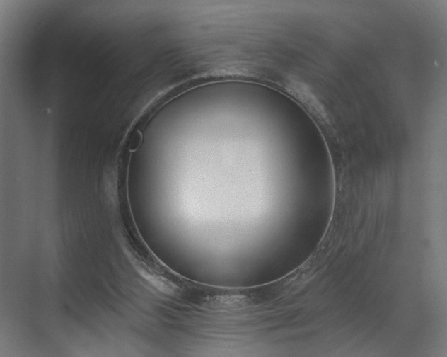 X0000070820108200606191233