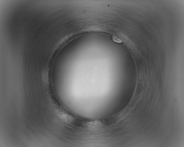 X0000070820112200606191232