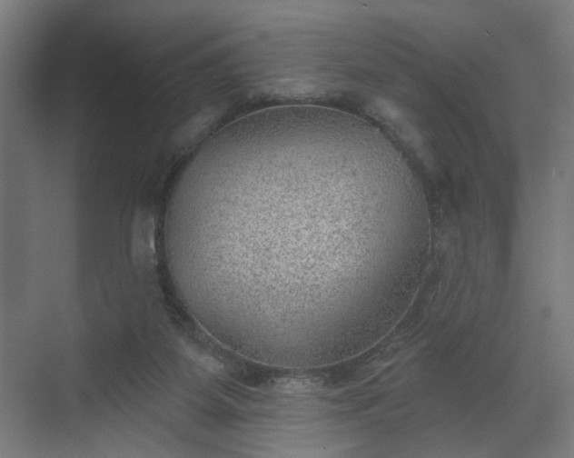 X0000070820115200606191232