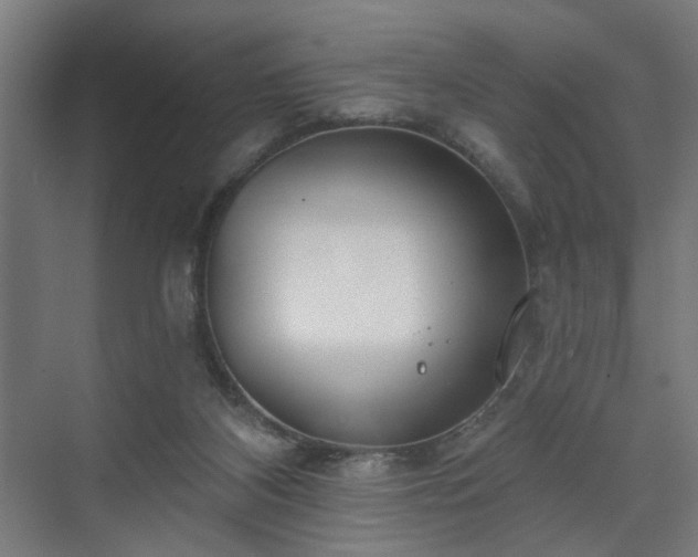 X0000070820116200606191232