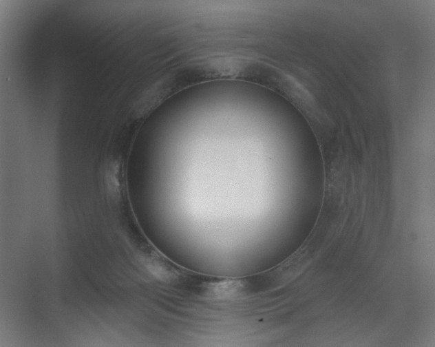 X0000070820122200606191232