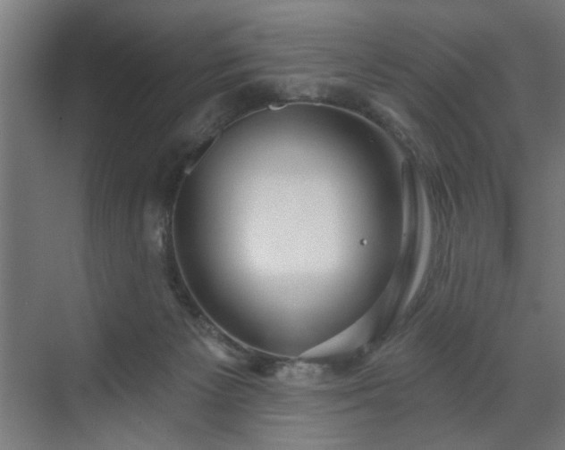 X0000070820125200606191232