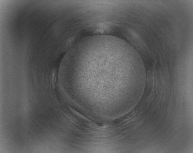 X0000070820127200606191232