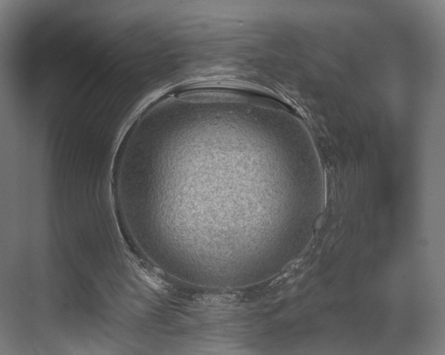 X0000070820147200606191231