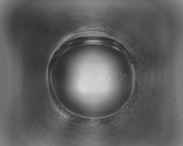 X0000070820148200606191231