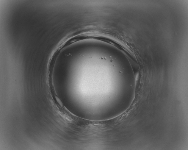 X0000070820150200606191231