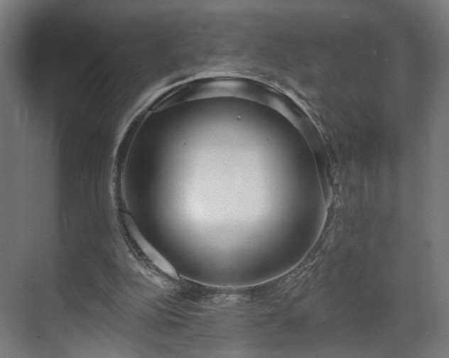 X0000070820152200606191231