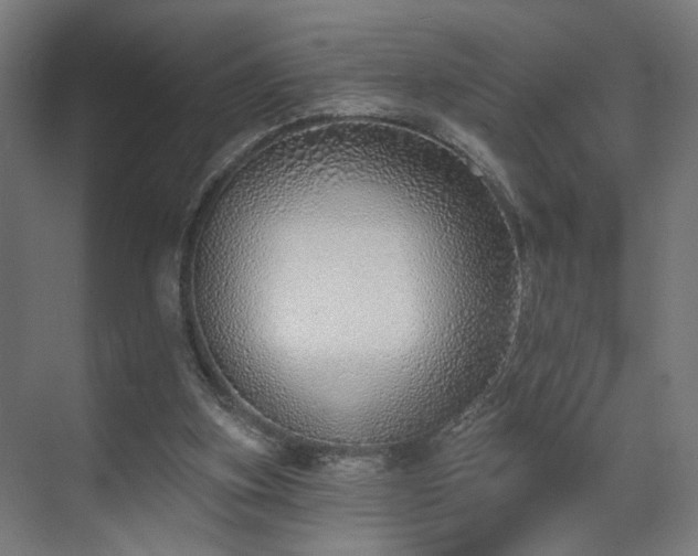 X0000070820155200606191231