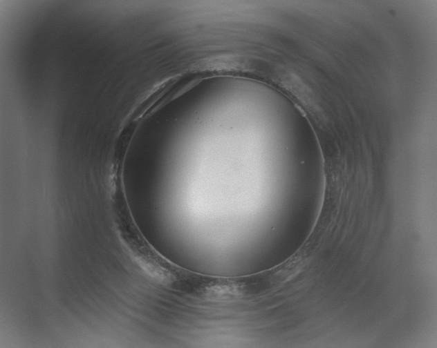 X0000070820160200606191231