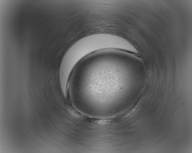 X0000070820184200606191232