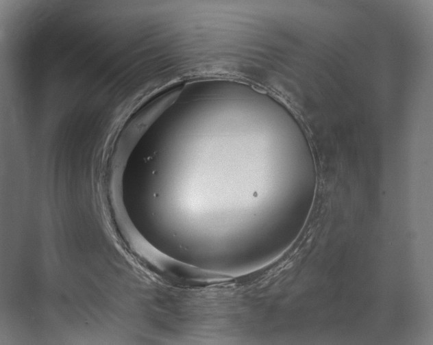 X0000070820193200606191231