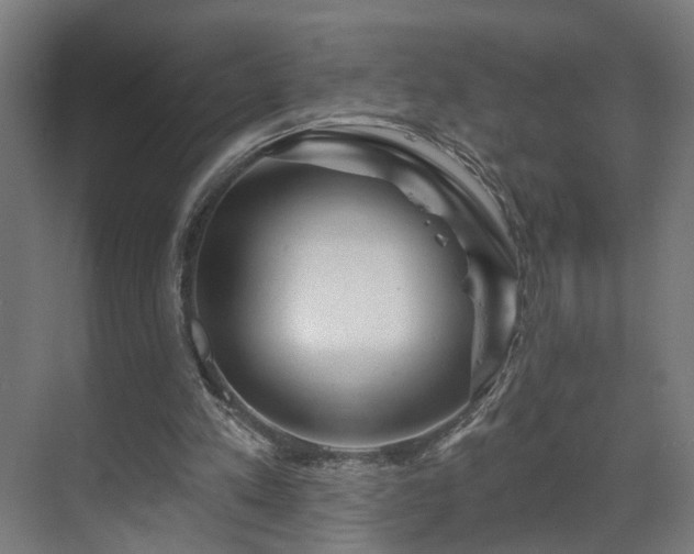 X0000070820197200606191231