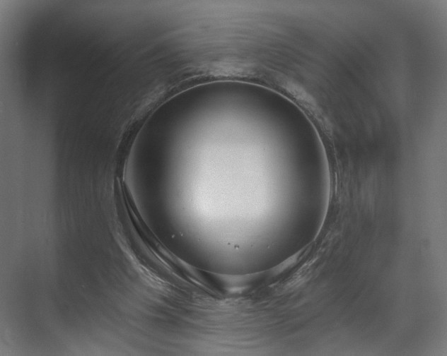 X0000070820201200606191231