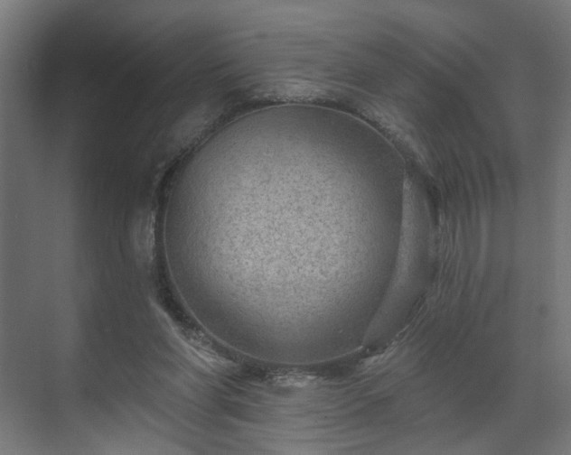 X0000070820206200606191231