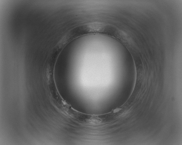 X0000070820215200606191231