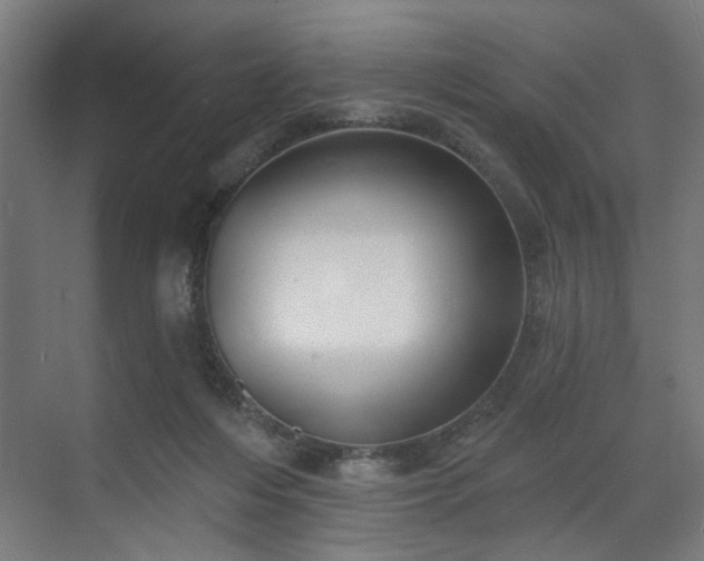 X0000070820216200606191231