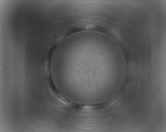 X0000070820222200606191231