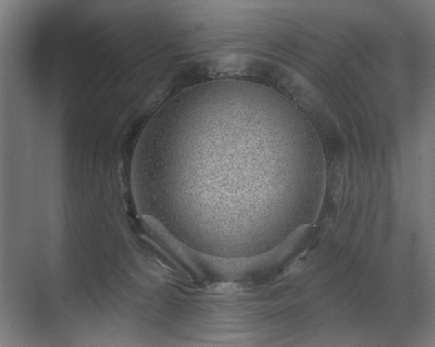 X0000070820224200606191231
