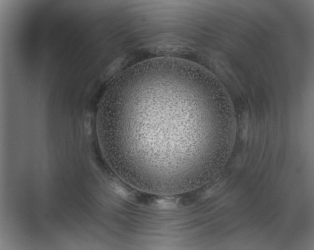 X0000070820232200606191230