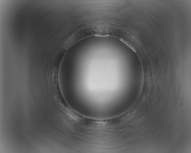 X0000070820233200606191230