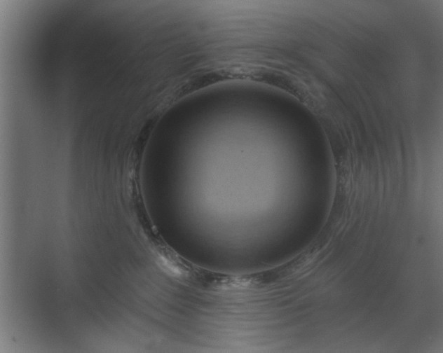 X0000070820235200606191230