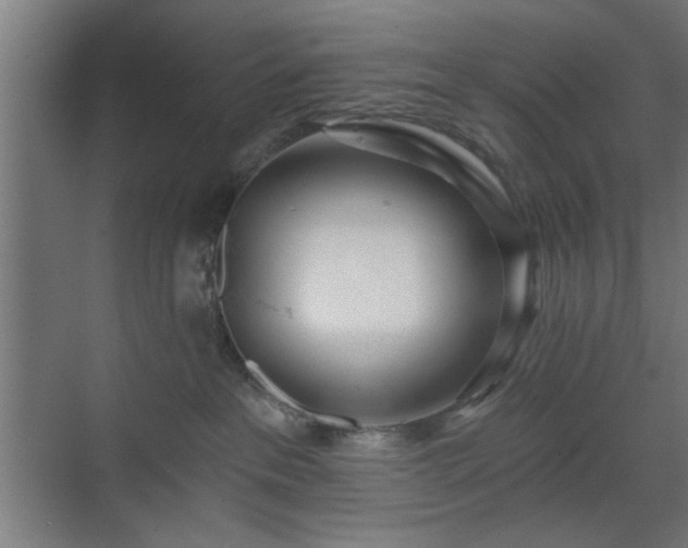 X0000070820237200606191230