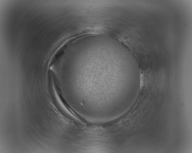X0000070820243200606191229