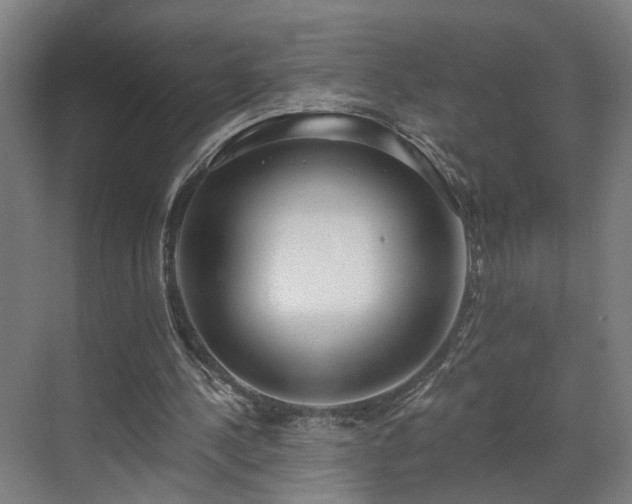 X0000070820244200606191229