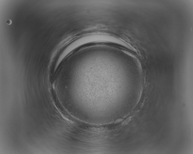 X0000070820245200606191230