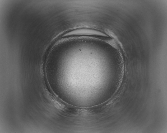 X0000070820249200606191230