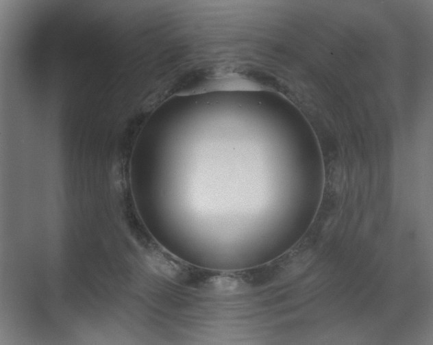 X0000070820272200606191230