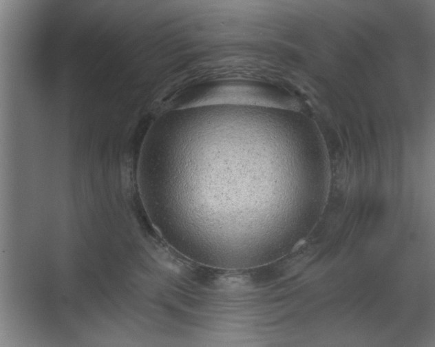 X0000070820283200606191230