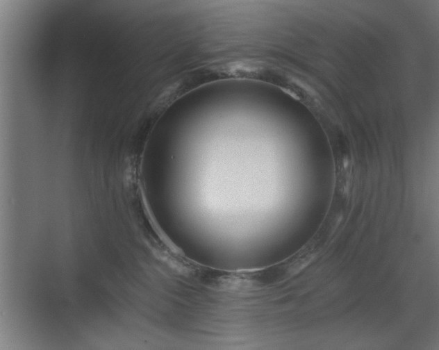 X0000070820284200606191230
