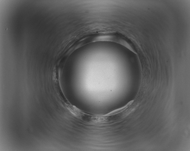 X0000070820288200606191230