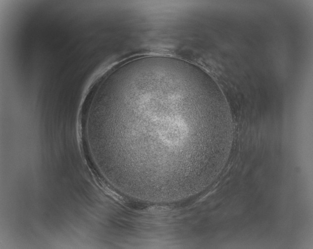 X0000070820294200606191229